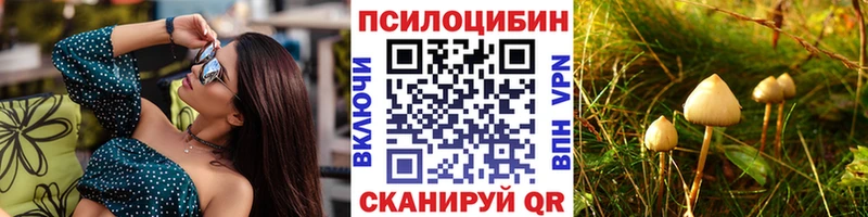 кракен tor  Тутаев  Псилоцибиновые грибы мицелий 